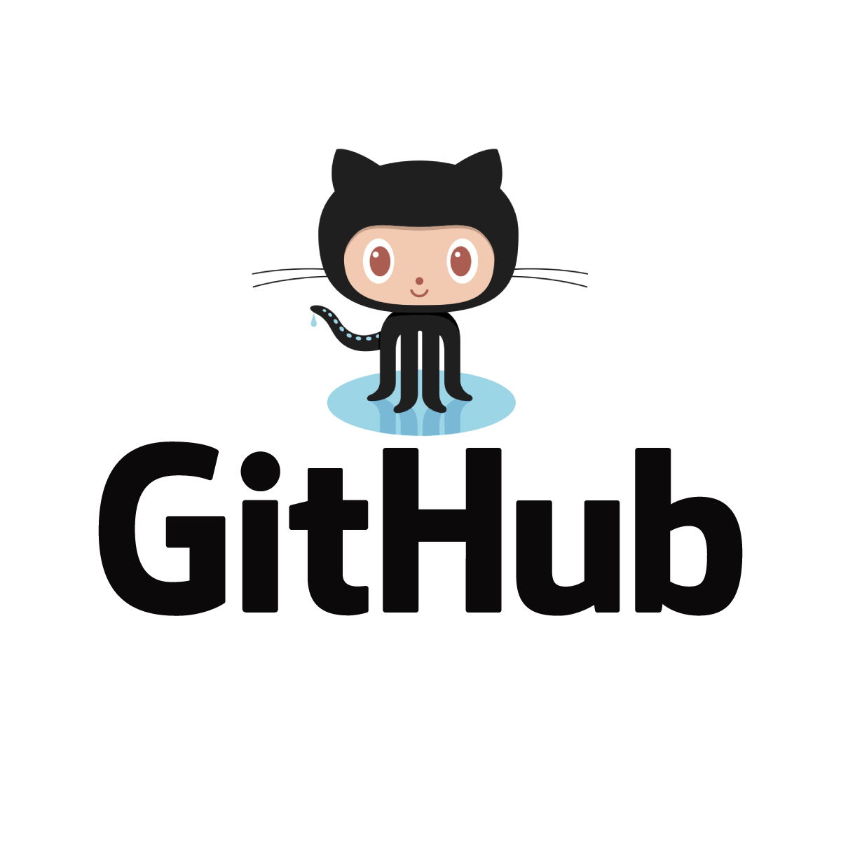GitHub Photo